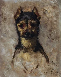 Cabeça de cão