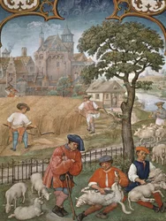 Fol.7v O Mês de Julho: Colheita e Tosquiar, do Breviarium Grimani, c.1515