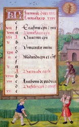 Ms 1058-1975 f6r Mowing Grass, página de calendário iluminada para Junho, de um Livro de Horas, c.1500 (vellum)