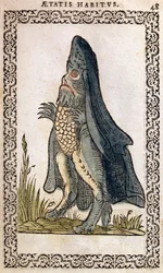 O monstro do mar Bishop Mar, quase todas as pessoas da nossa idade de uma postura nacional e uma estátua por Jean Sluperji, Antuérpia, 1572 (woodcut da cor)