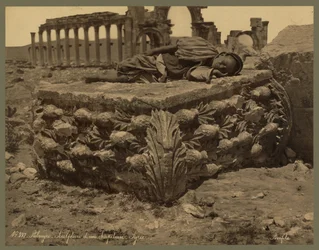 Uma vista da Grande Colunata, Palmyra, c.1875 (estampa do álbum)