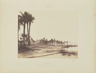 El-Nâcérah. Tamareiras, margens do Nilo e barcos
