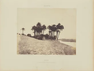 Luxor. Tâmaras e Jardim da Expedição de Luxor