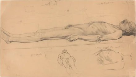 O Cadáver (Estudo para o Cristo Morto)