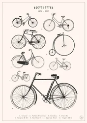 Bicicletas
