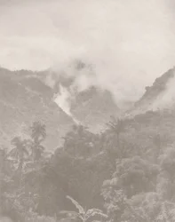 Foggy Jungle 3, 2024 (foto)
