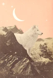 Lobo Gigante em Pink Mountains, 2021 (colagem)