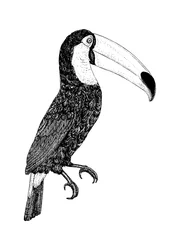 Toco _ preto e branco