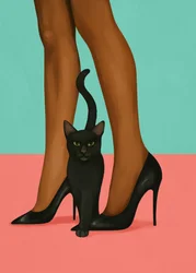 Gato preto com saltos altos