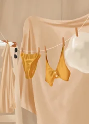 Lavandaria Verão Dourado