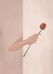 Mão segurando uma rosa