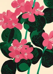 Flores de um rosa vibrante