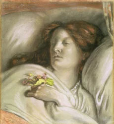Convalescente