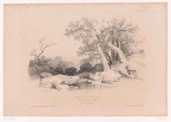 Paisagem rochosa com água e dois veados Curso de desenho com estudos de paisagens, animais e detalhes (título da série) Curso o projeto. Paysages, figures, animaux, acessórios, par Férogio (título da série no objeto)