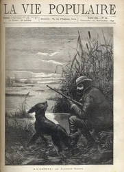 Um caçador de pássaros está a observar num pântano com o seu cão. Ilustração de F. Meaulle para "Esperançosamente! "por Alphonse Daudet (1840-1897). Gravura de 1890 em "La vie populaire". Coleção Particular