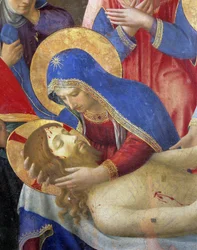 Imagem desconhecida