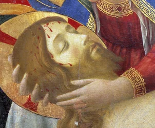 Imagem desconhecida