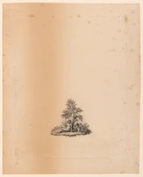 Vinheta para "Os Jardins" do Abbé de Lille