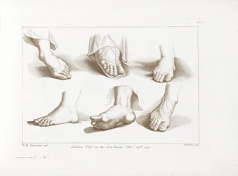 Seis pés
Ciprianis rudimentos do desenho (título da série)
Ciprianis rudimentos do desenho (título da série)