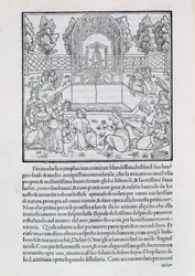 Ninfas com o amante da Polia, ilustração de uma cópia de &39;Hypnerotomachia Poliphili&39; de Francesco Colonna (c.1432-1527)