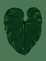 Folha tropical verde-escura