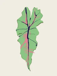 Folha verde com veios cor-de-rosa