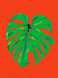 Folha de Monstera Vibrante