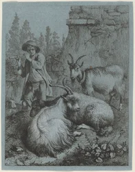 Goatherd tubulação para quatro cabras.