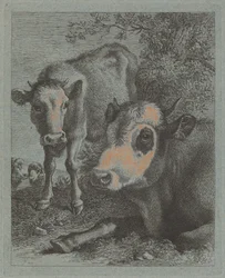 Vaca reclinada e bezerro ao ar livre, 17581759.