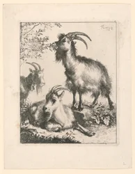 Três cabras