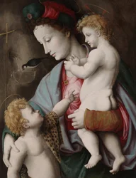 Madonna and Child with St. John, c.1525 (óleo no painel)