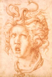 Medusa (giz vermelho sobre papel deitado fora de branco)
