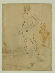 Um jovem nu, de pé; o Menino Jesus; retrato feminino virado para a direita ...