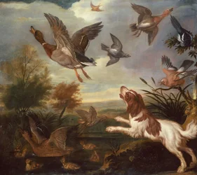 Um Spaniel Flushing Mallard (óleo sobre tela)