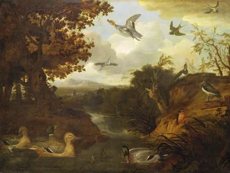 Patos e outros pássaros em um riacho em uma paisagem italiana