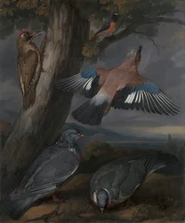 Gaio, pica-pau-verde, pombos e rabirruivo