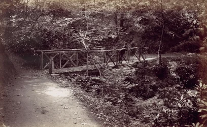 Baía de Colwyn. Ponte Rústica na Madeira, década de 1870.