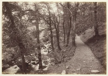 Dolgelley, vista em Torrent Walk
