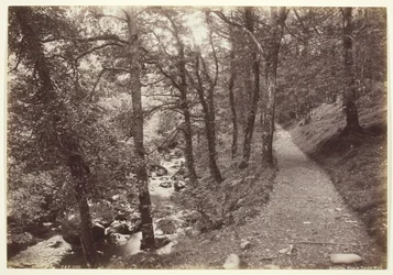 Dolgelley, Vista em Torrent Walk, 186094.