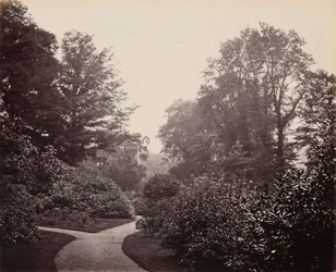 Caminho no Alexandra Park