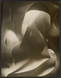 [Abstração de papel cortado].