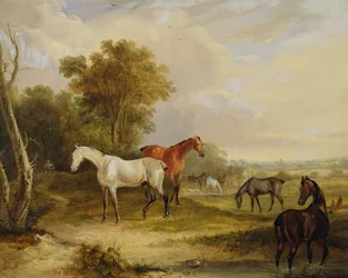 Cavalos Pastando: Um Garanhão Cinzento Pastando com Éguas em um Prado (óleo sobre tela)