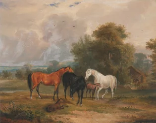 Cavalos a pastar: Éguas e potros num campo