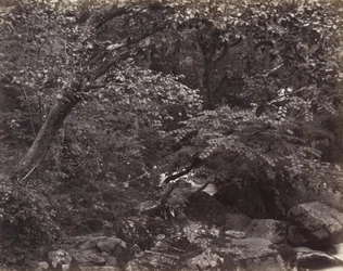 Glen em Lynmouth, década de 1860
