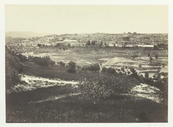 Floresta.