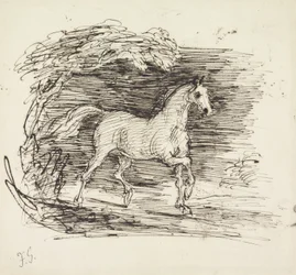Um cavalo cinza saindo de uma floresta