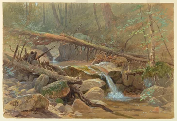 Piscina na floresta