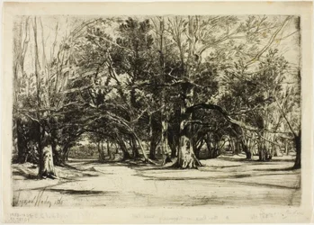 Uma estrada secundária em Tipperary