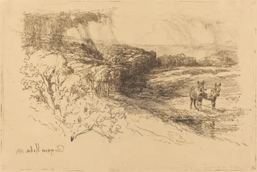 Encombe Woods (Nº 1)