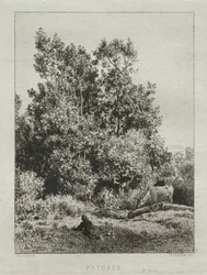 Paisagem